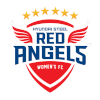Hyundai Steel Red Angels (W)